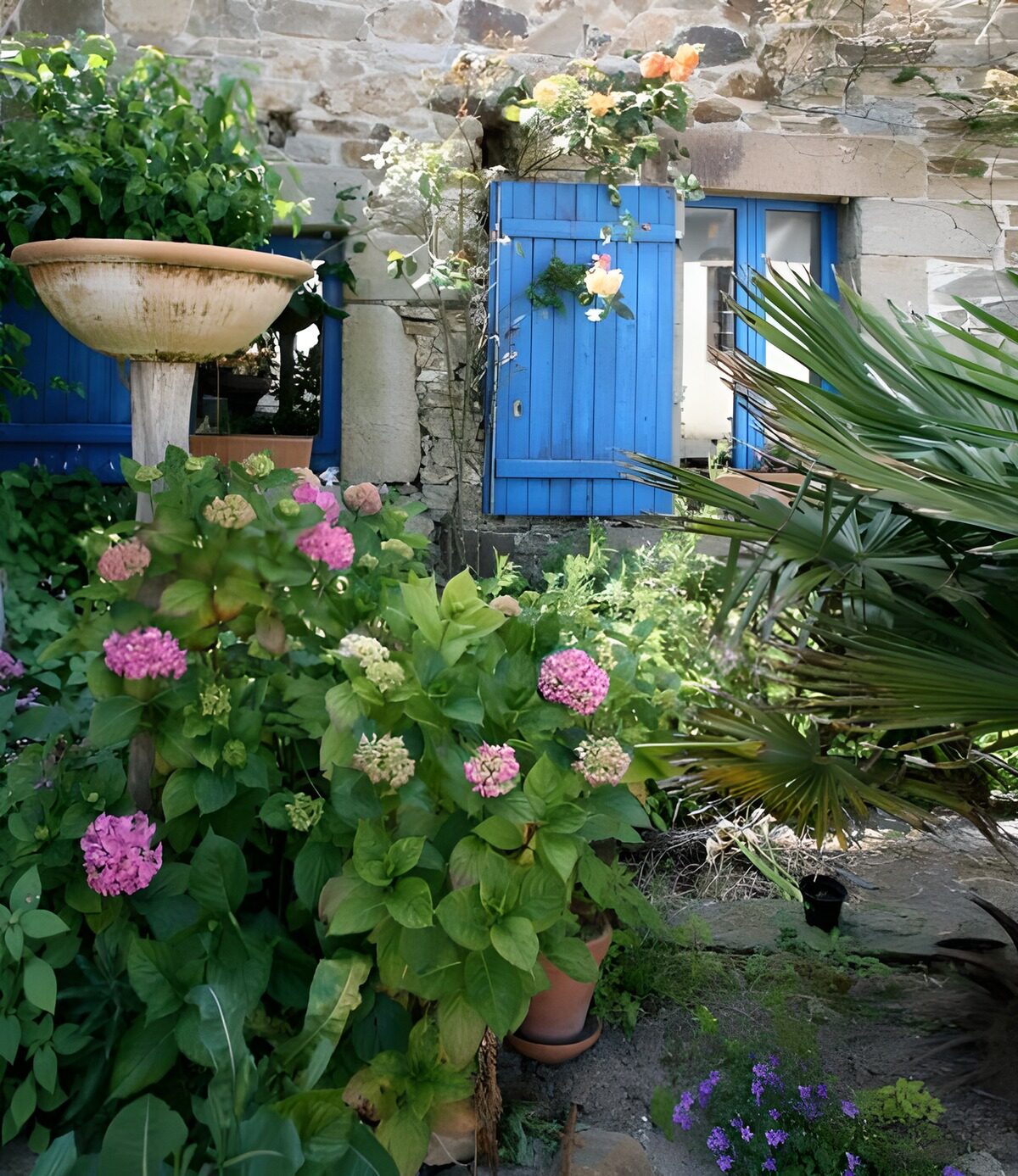 OCCOM2417249: Charming Garden Retreat