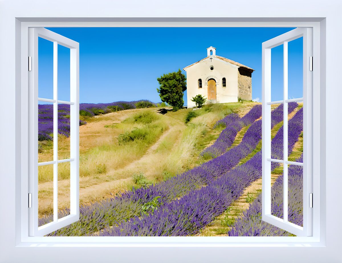 Lavender Fields View