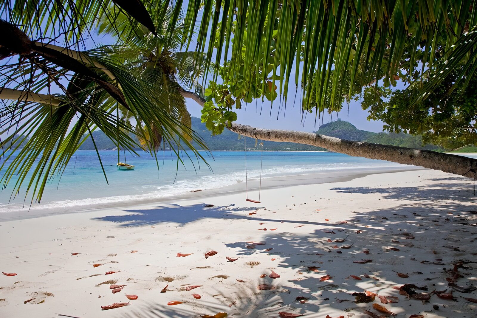 OCCOM5226245: Serene Beachside Escape