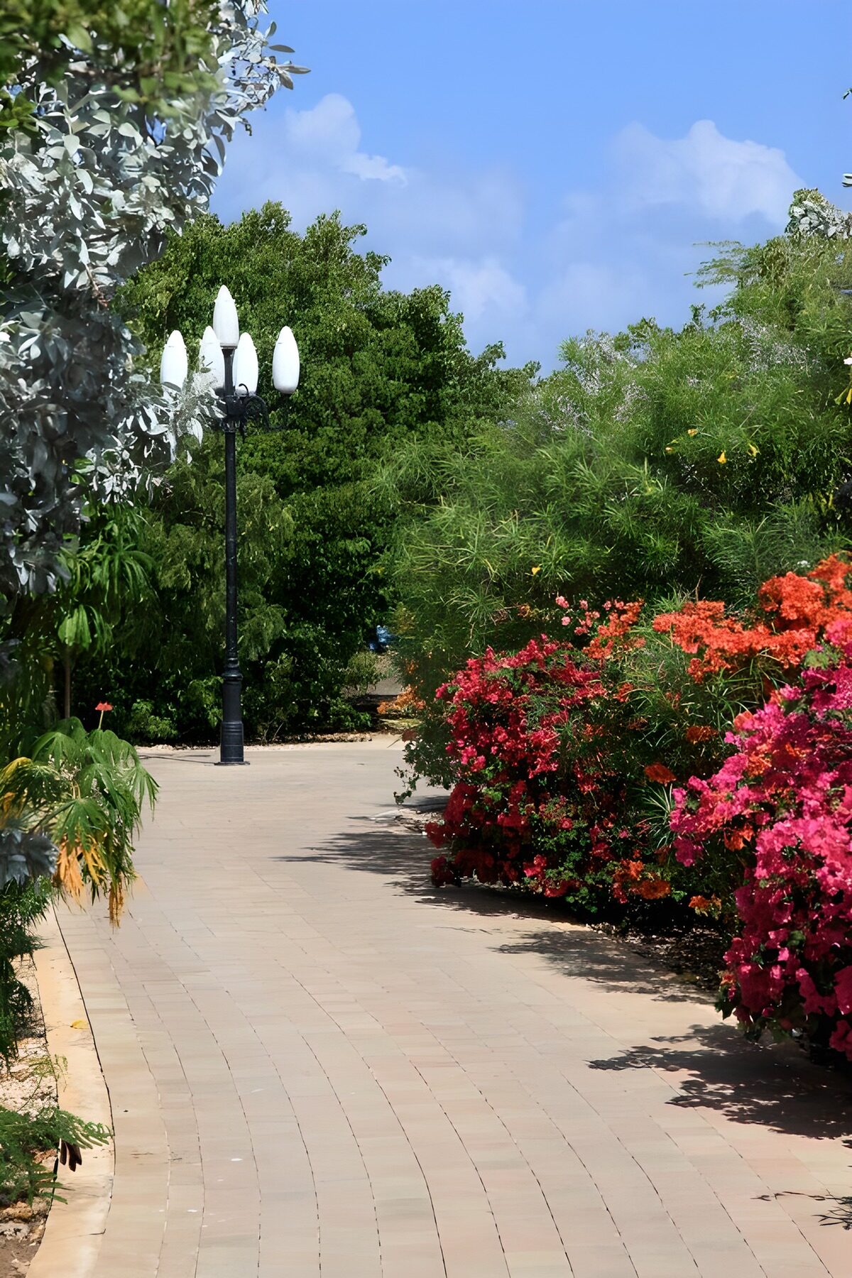 Lush Garden Pathway