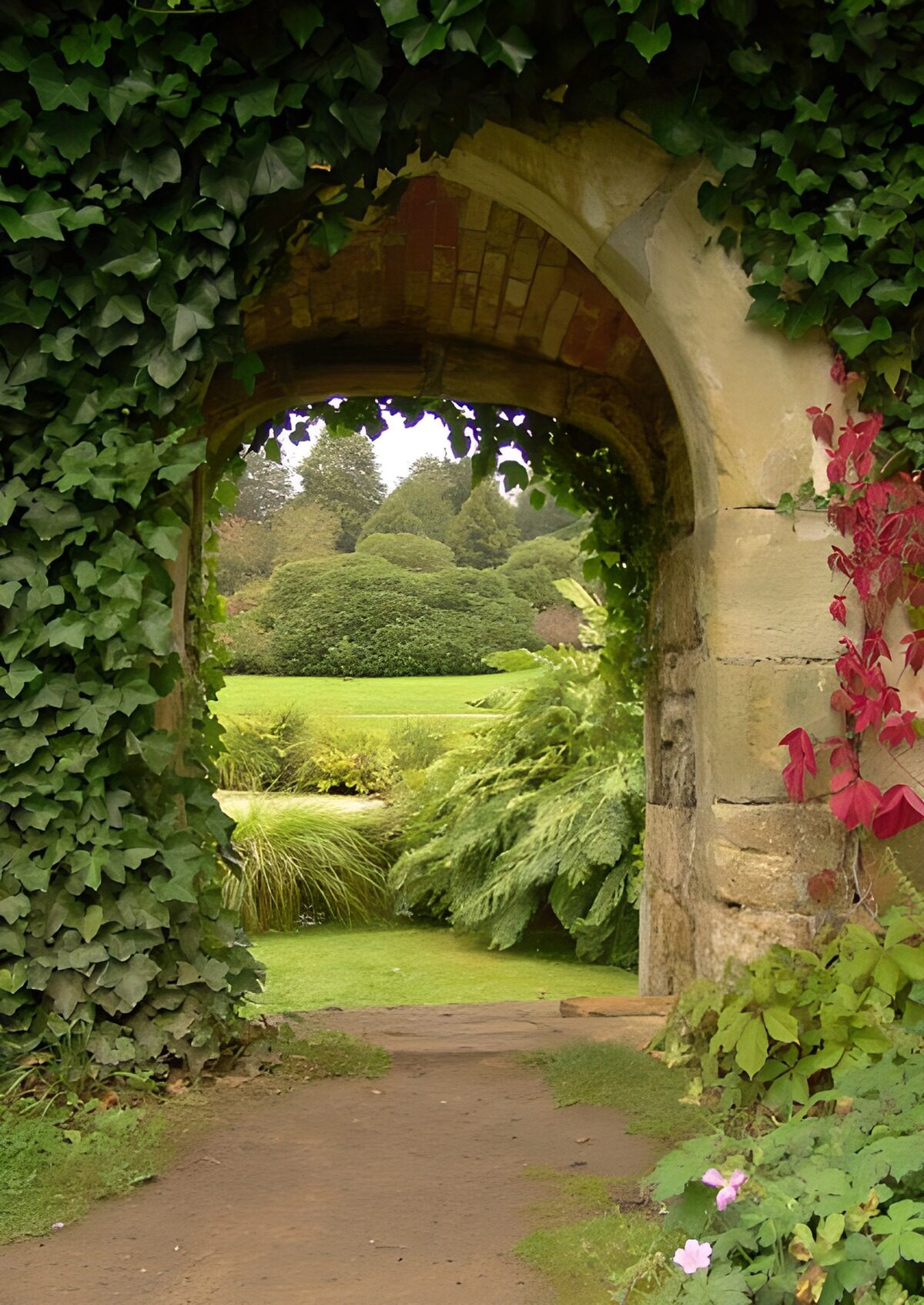 OCCOM5179783: Nature's Secret Passage