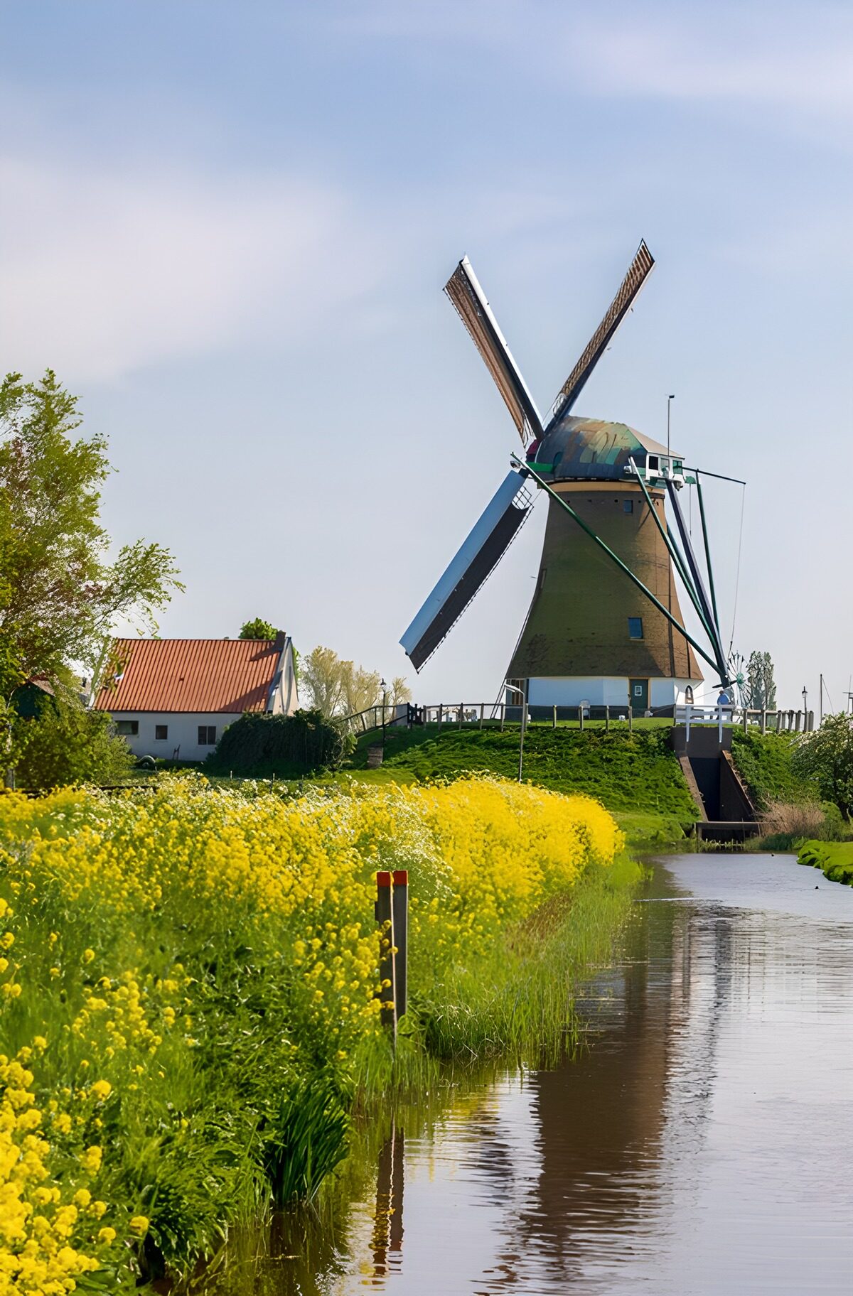 Sunny Windmill by the Water