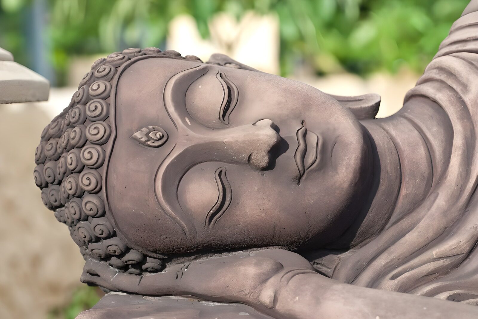 OCCOM1408091: Serene Buddhascape in Relaxation