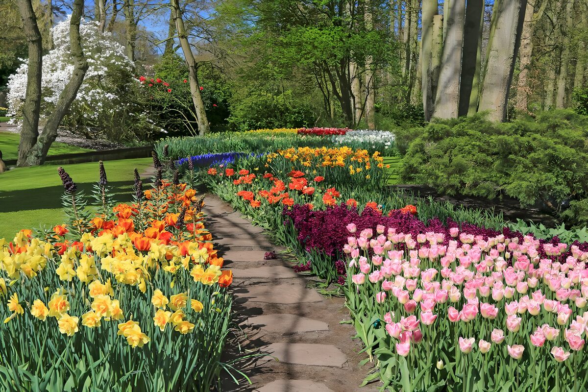 Vibrant Spring Blossom Path