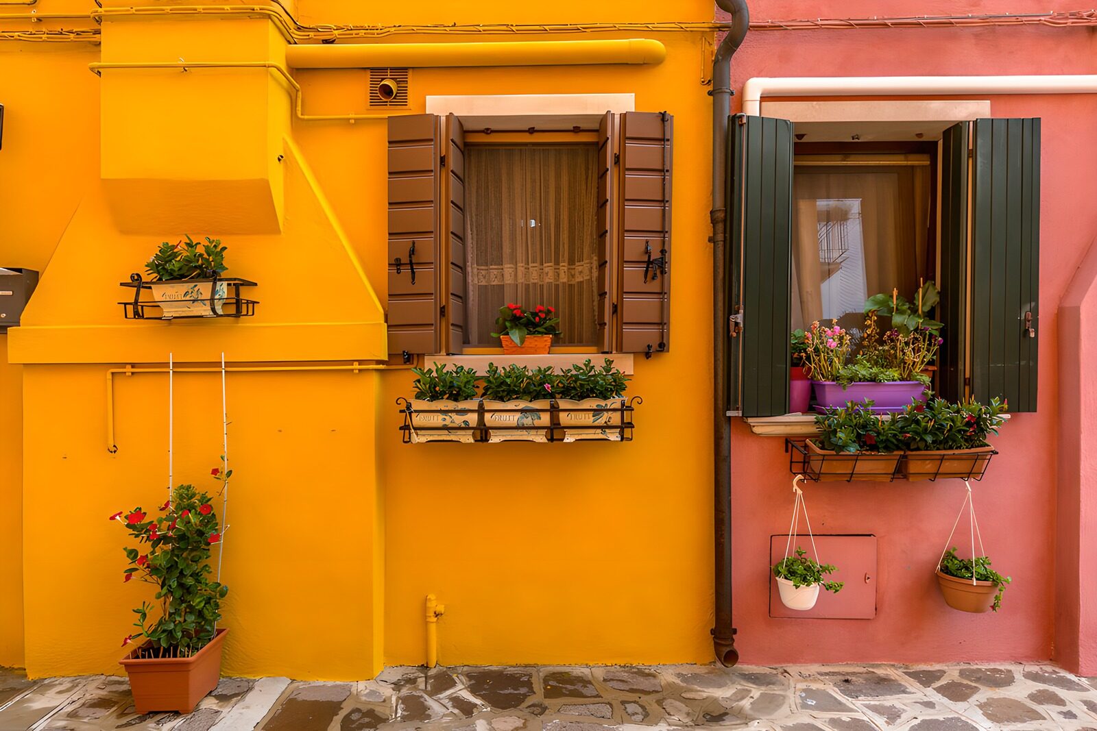 OCCOM8270792: Colorful Windows and Blossoming Plants