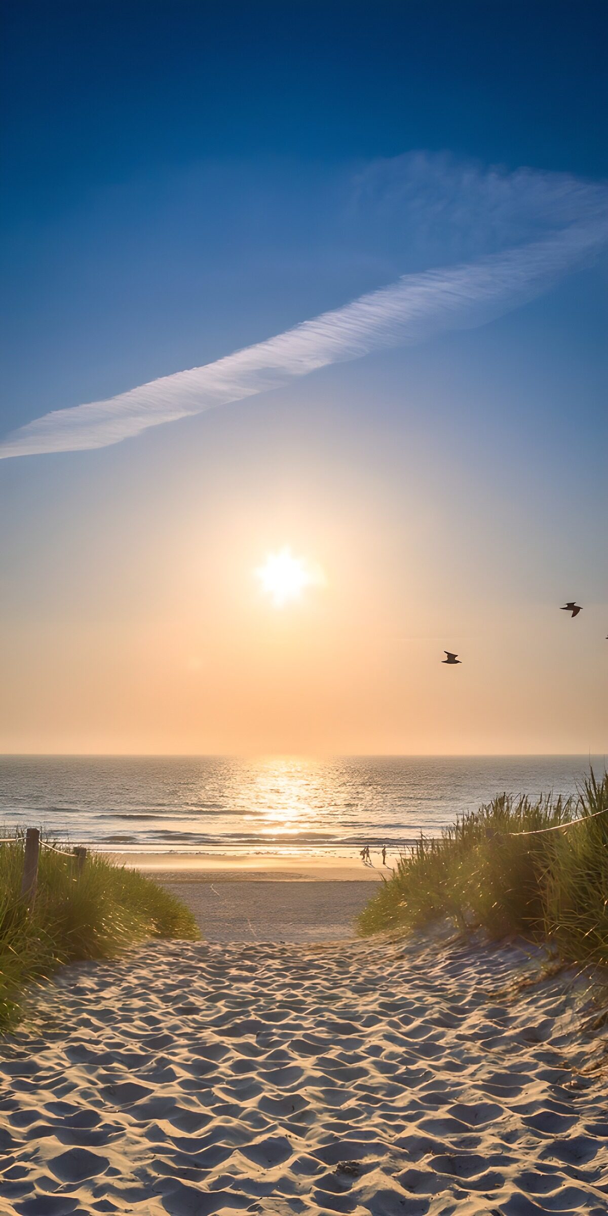 OCCOM3166640: Serene Beach Pathway at Sunset