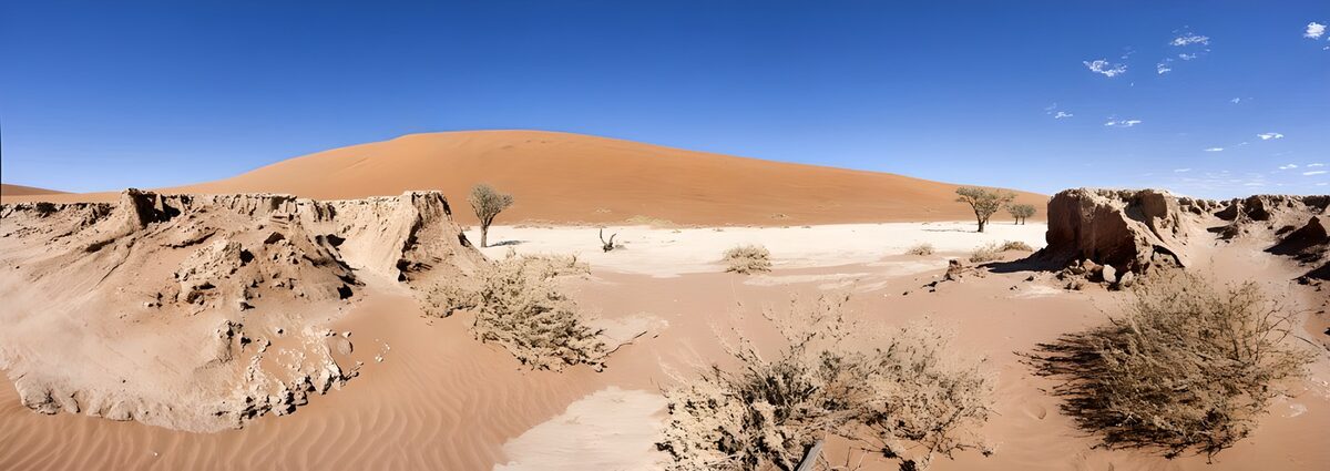 OCCOM2360851: Desert Landscape of Namib Dunes