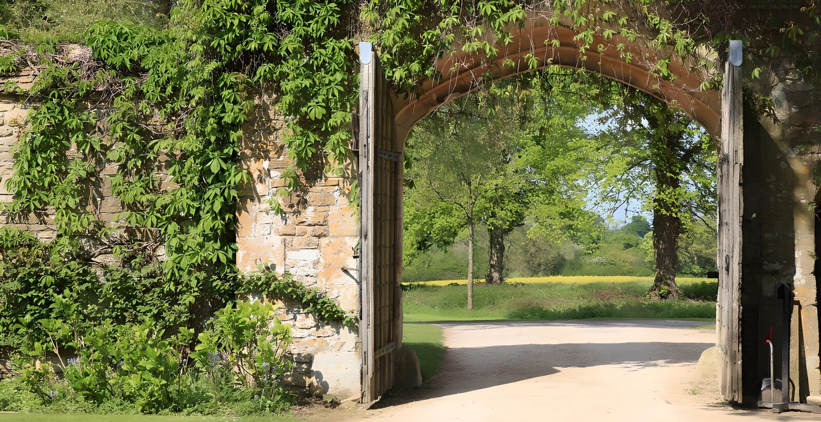 OCCOM3918242: Enchanted Gateway to Nature’s Embrace