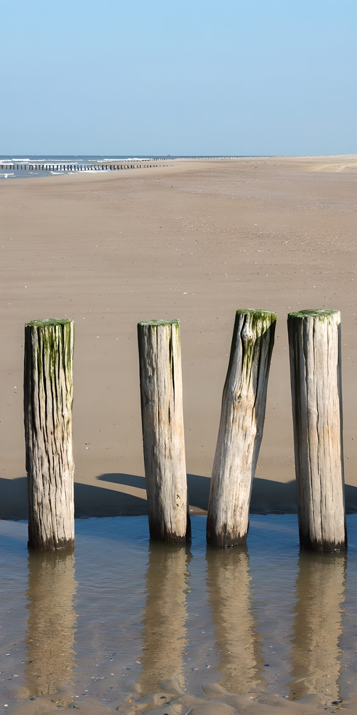 OCCOM5777518: Weathered Beach Poles in Reflection