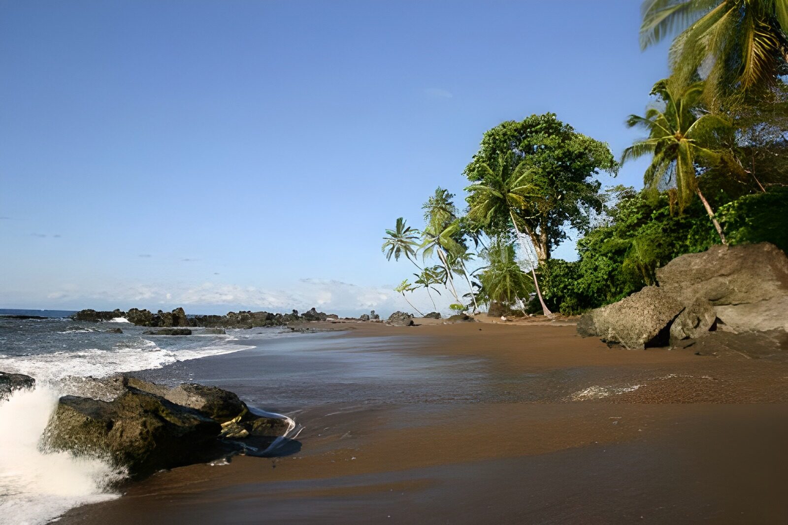 OCCOM3910082: Serene Tropical Beach Scene