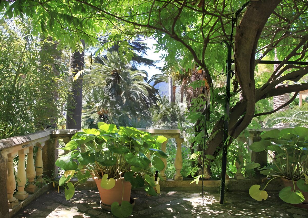 OCCOM8765728: Lush Garden View in Tranquil Oasis