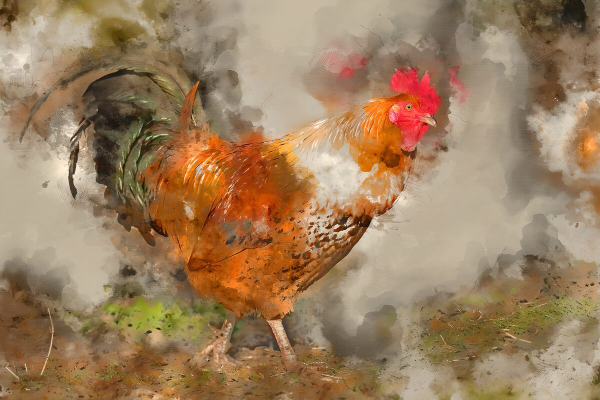 Vibrant Rooster in Abstract Art
