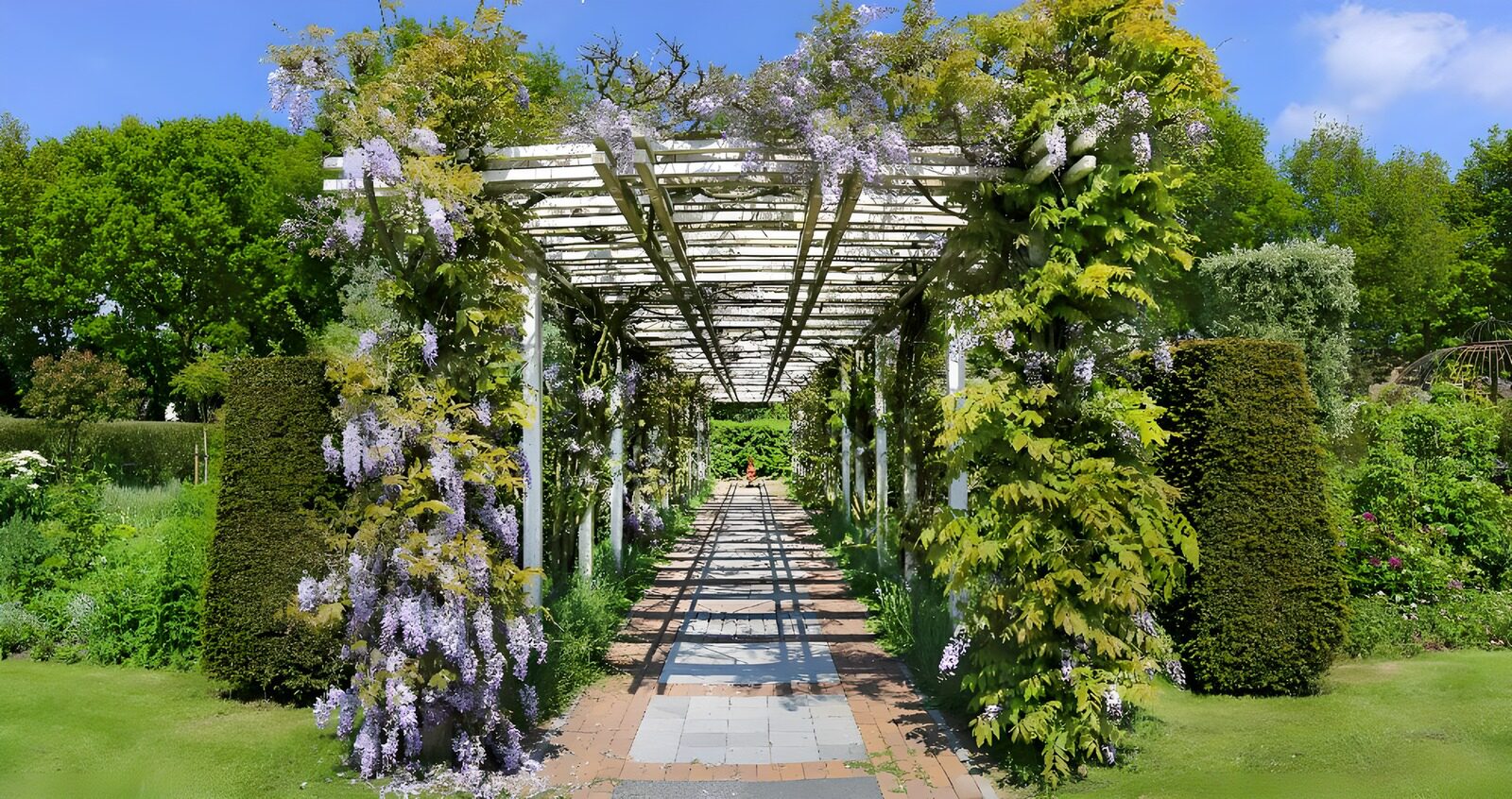 OCCOM3261187: Serene Floral Archway in Spring Garden