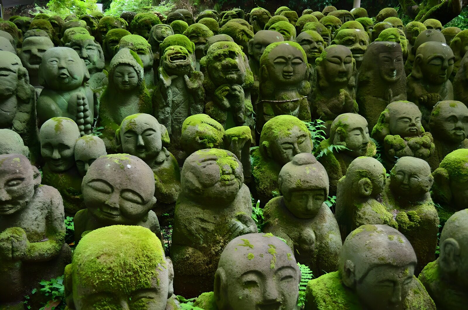 OCCOM4357298: Moss-Covered Stone Figures in Nature