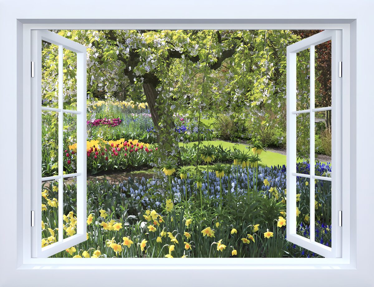 View of a Beautiful Garden Through a Window