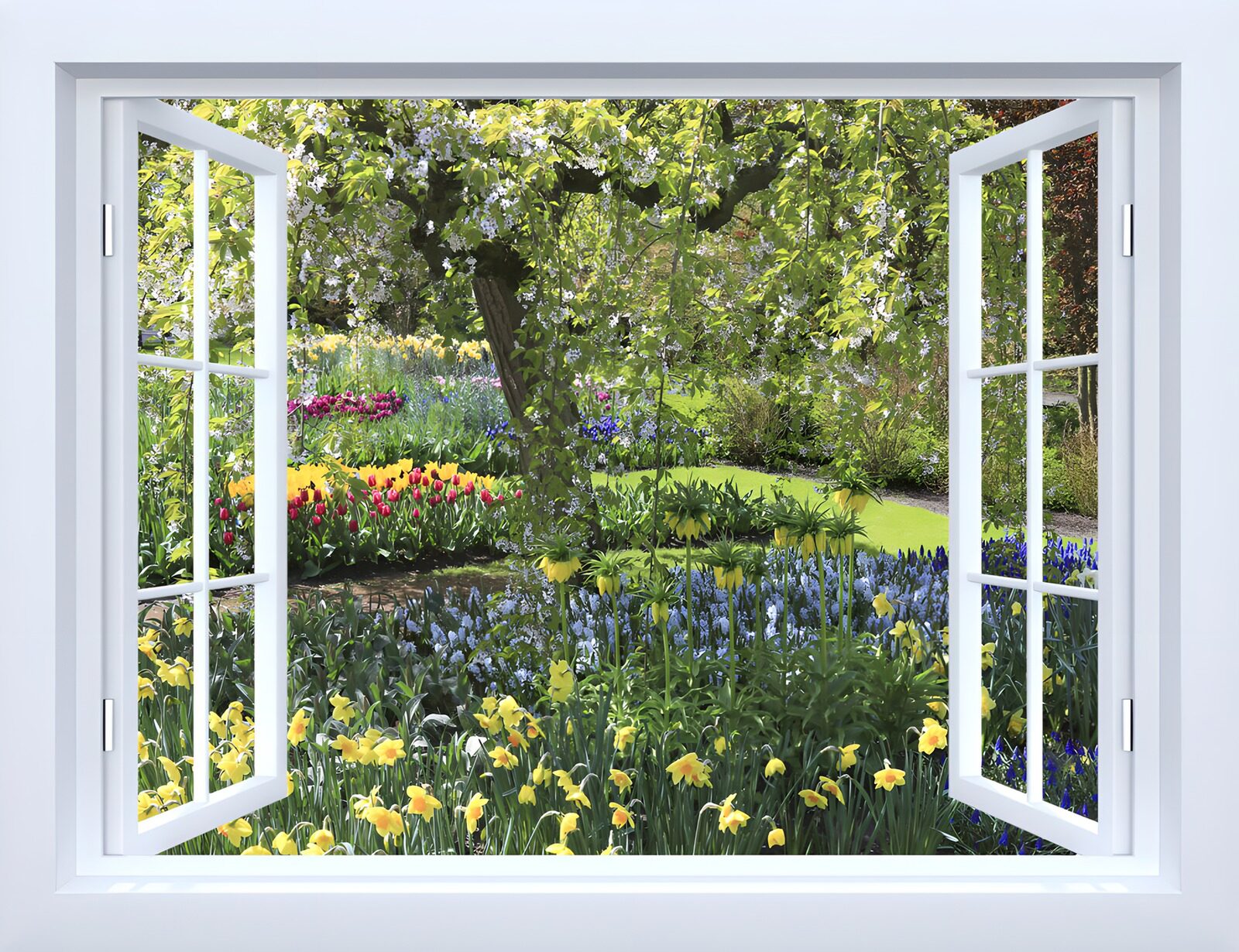 OCCOM5055988: View of a Beautiful Garden Through a Window