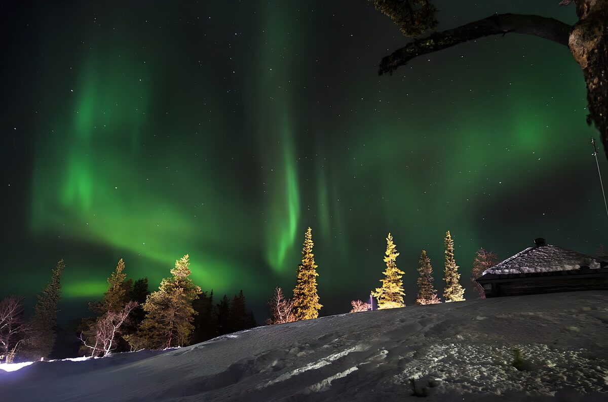 Enchanting Northern Lights Over Snowy Forest