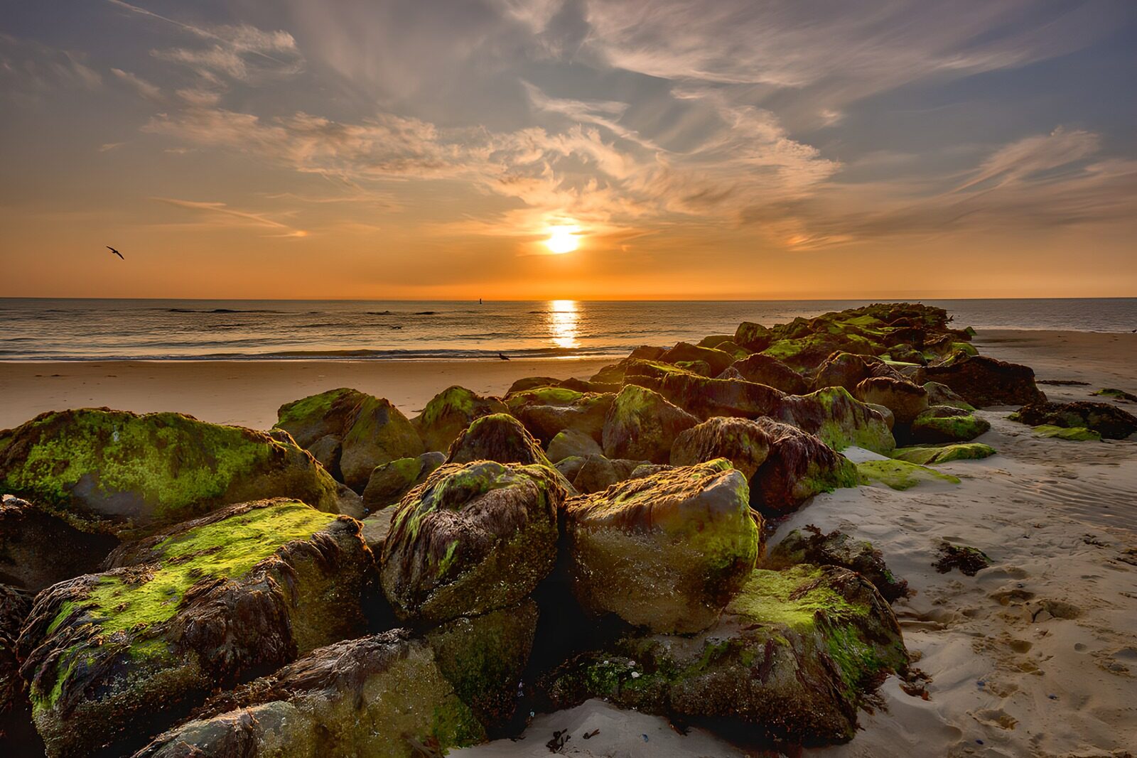 OCCOM1933440: Serene Sunset Over Rocky Shoreline