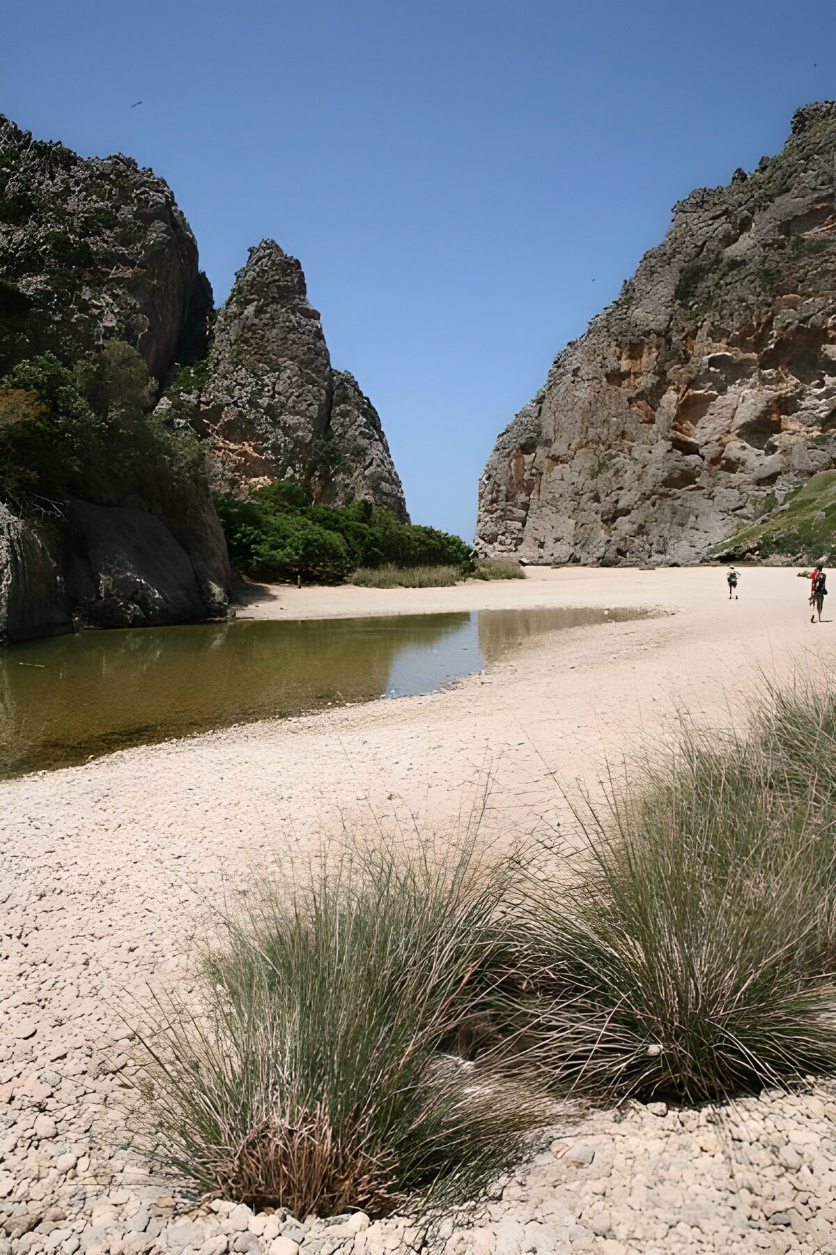OCCOM2960301: Majestic Canyon Landscape