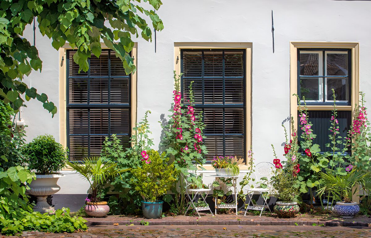 OCCOM5074131: Charming Floral Facade