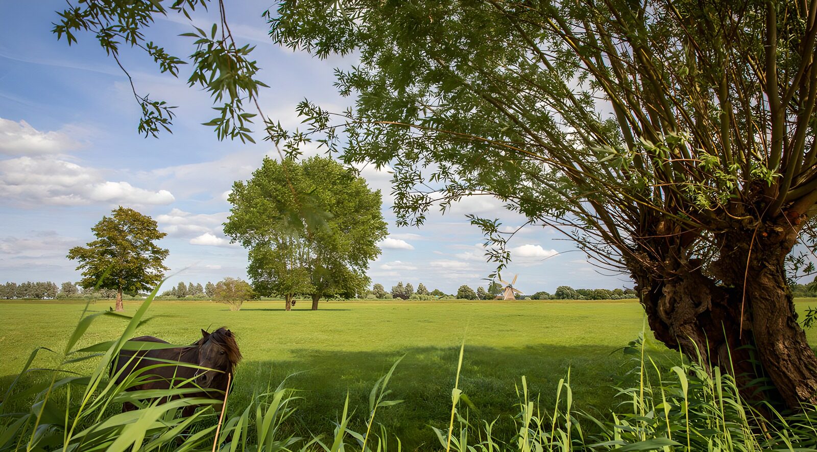 OCCOM2109688: Tranquil Countryside Scene