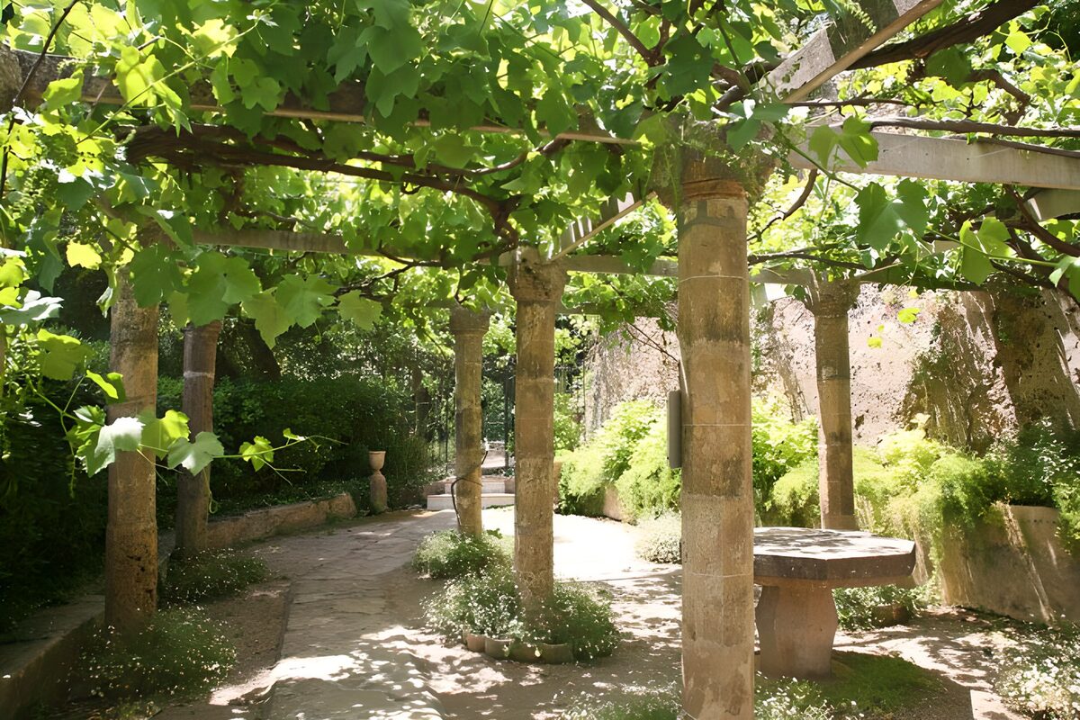 Serene Garden Pathway Under Vines
