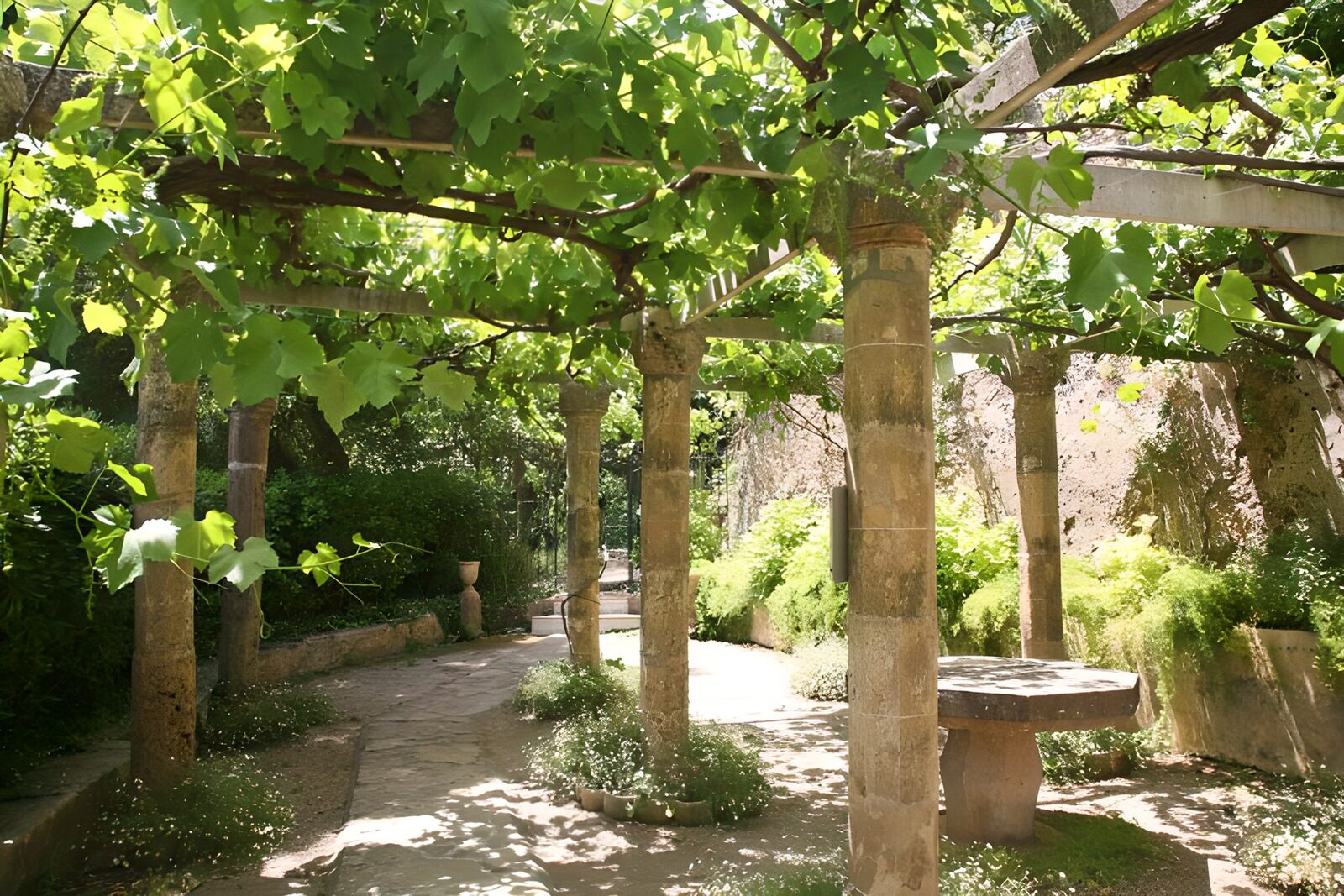 OCCOM5746843: Serene Garden Pathway Under Vines