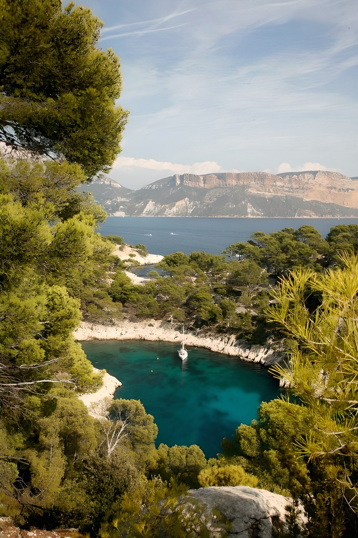 OCCOM9288762: Serene Coastal Cove Landscape