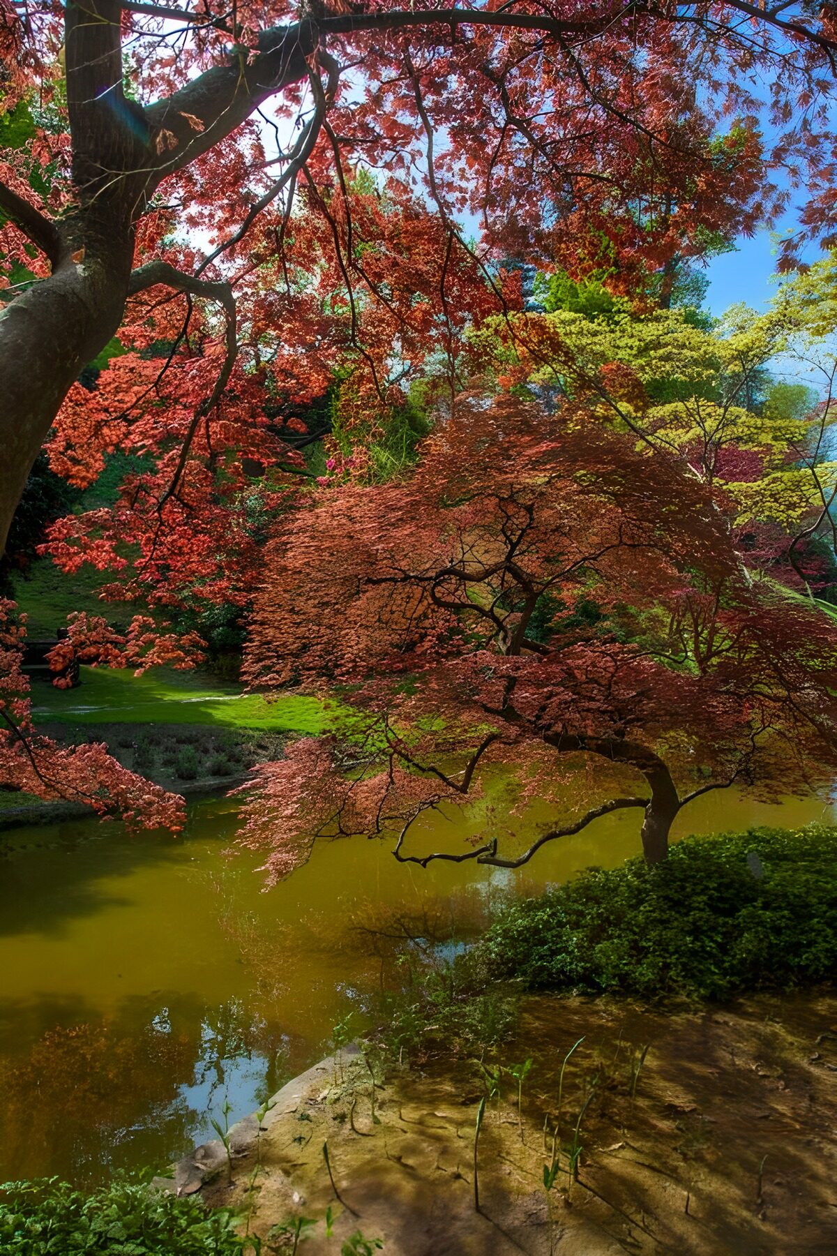 Tranquil Reflections in Autumn Colors