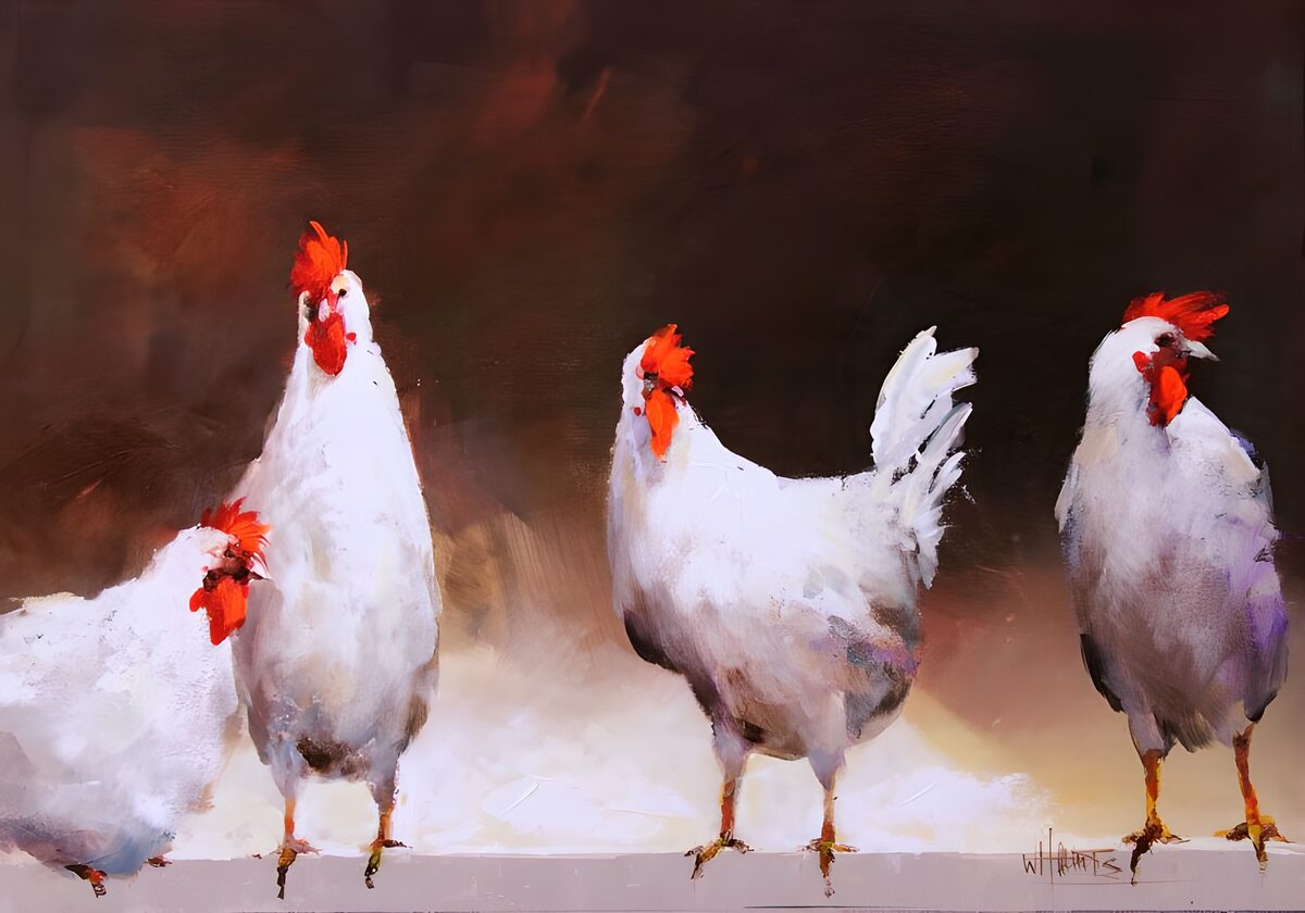 Four Proud Chickens