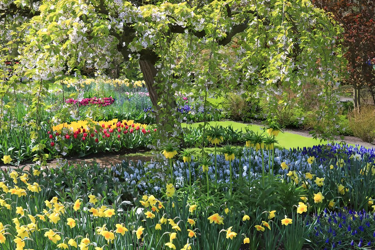 Vibrant Spring Flower Garden