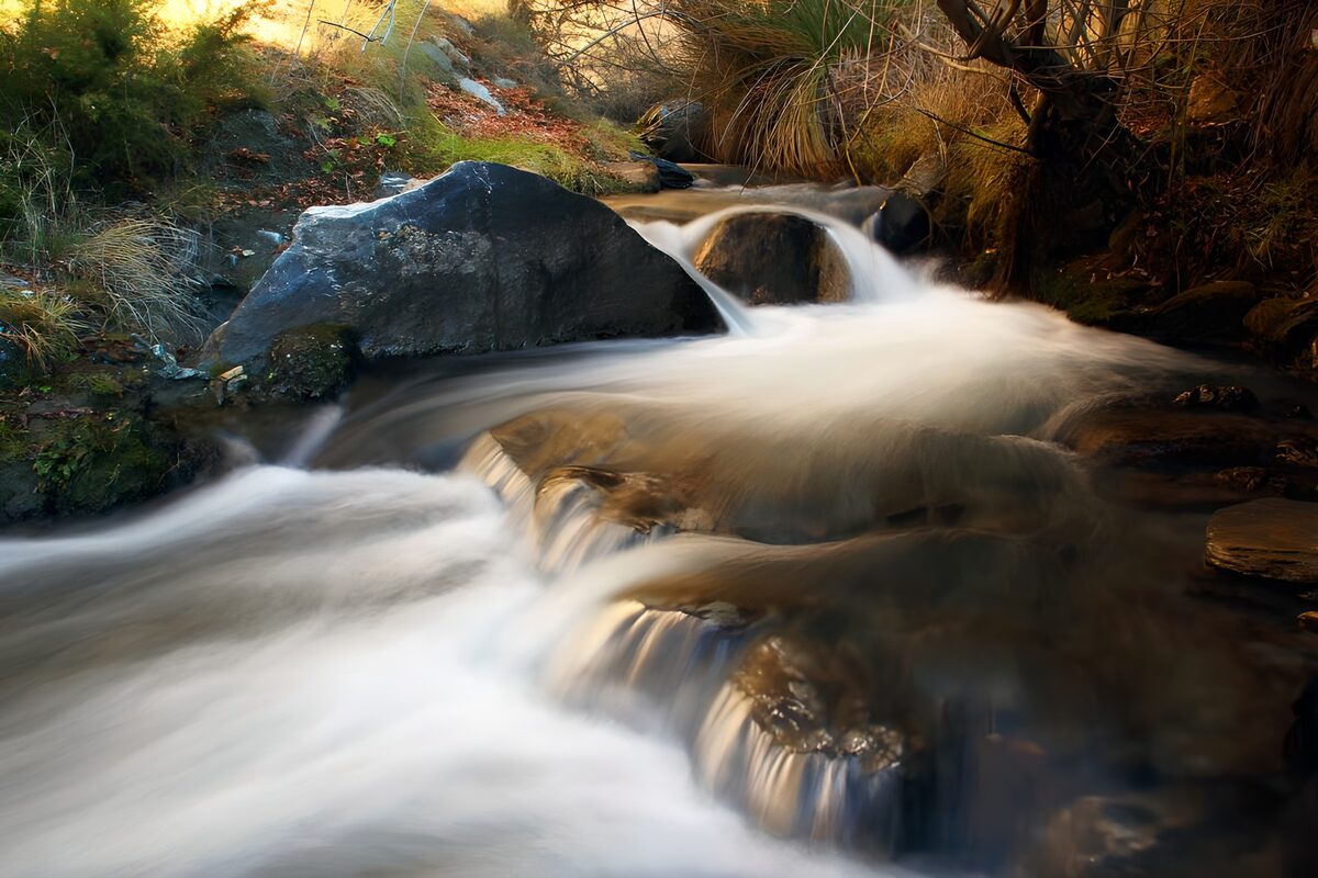 OCCOM1626272: Tranquil Stream Flowing Over Rocks
