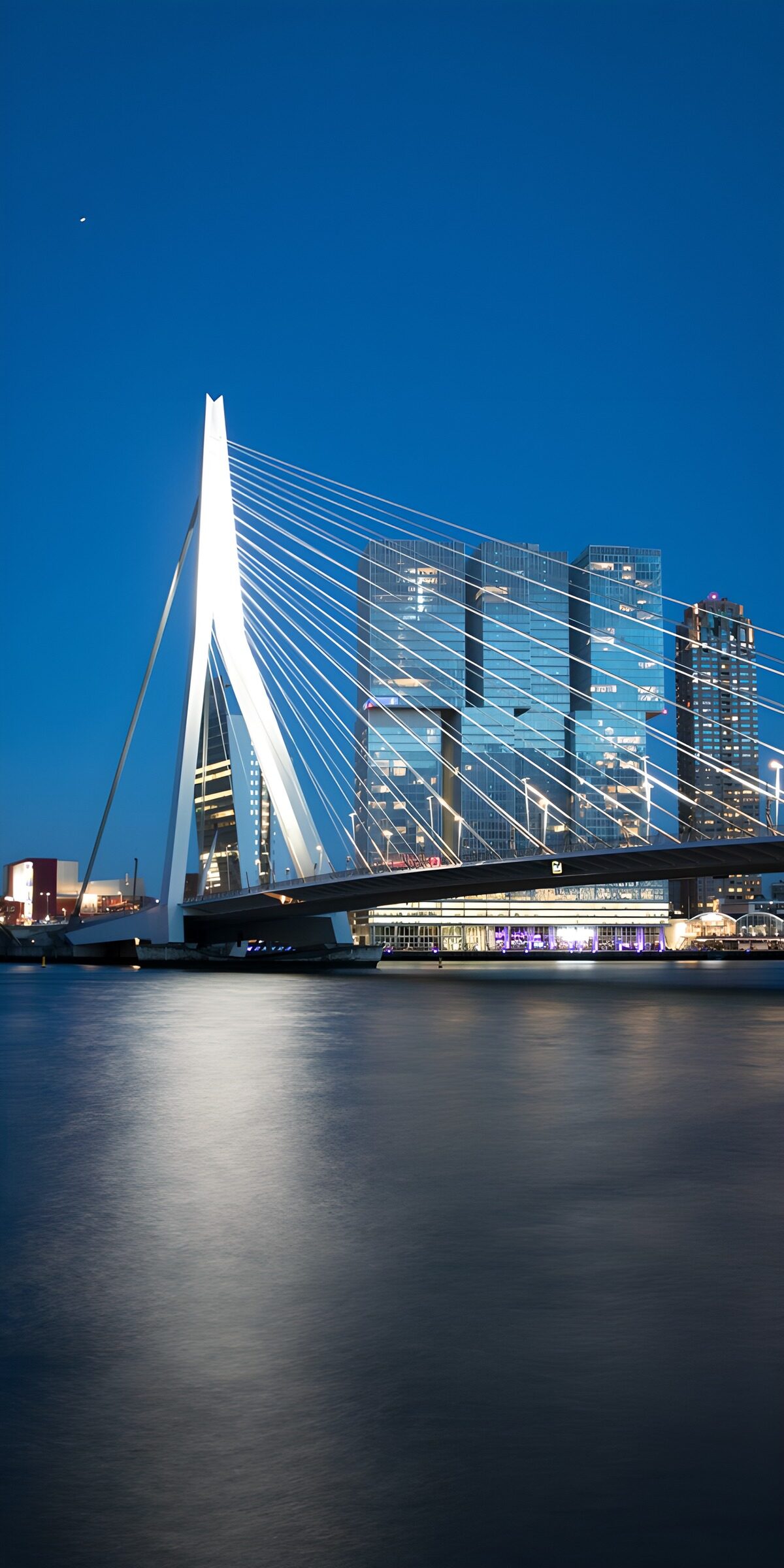OCCOM9844137: Vibrant Rotterdam Skyline at Dusk