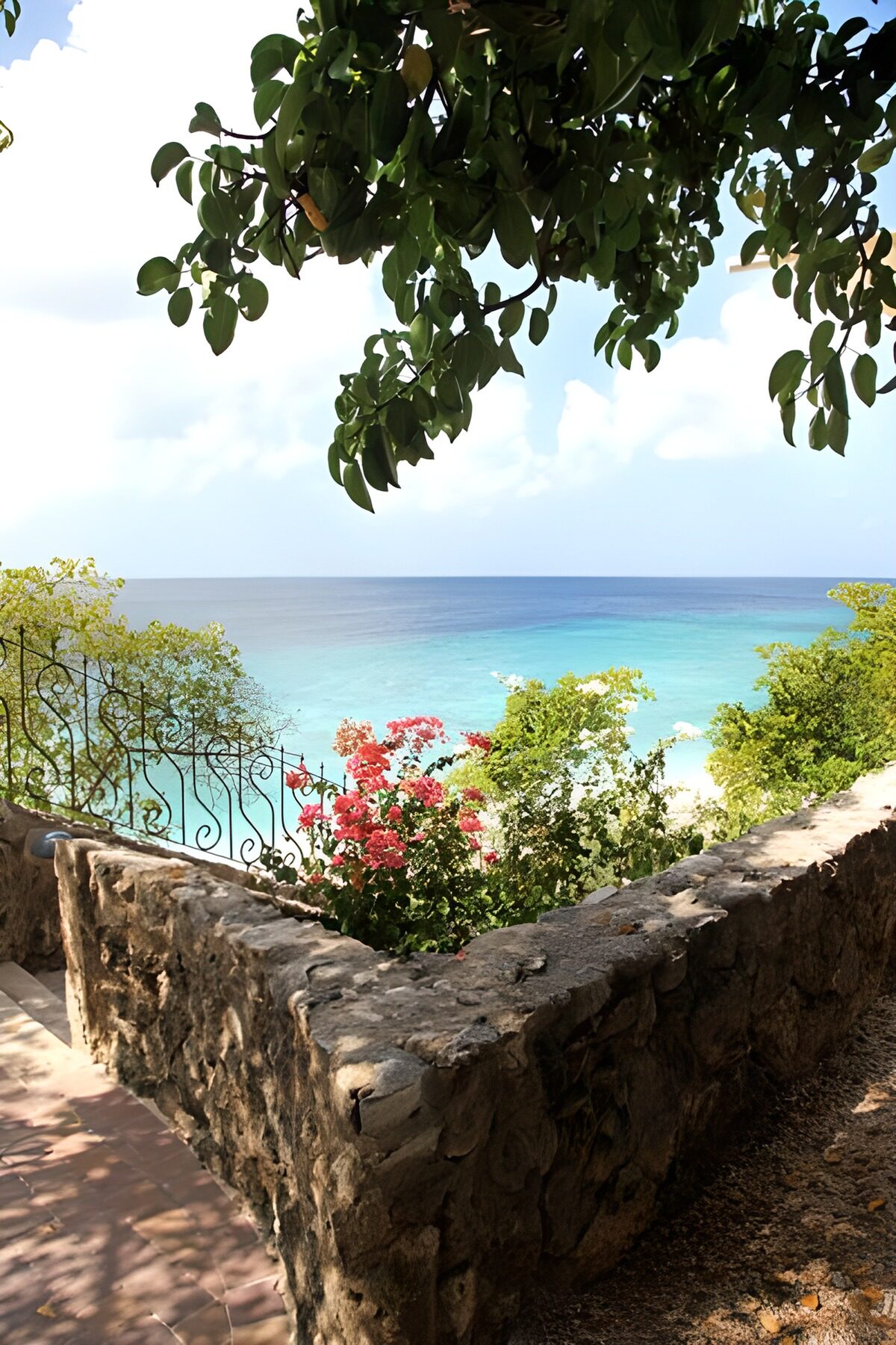 Coastal View Through Lush Foliage