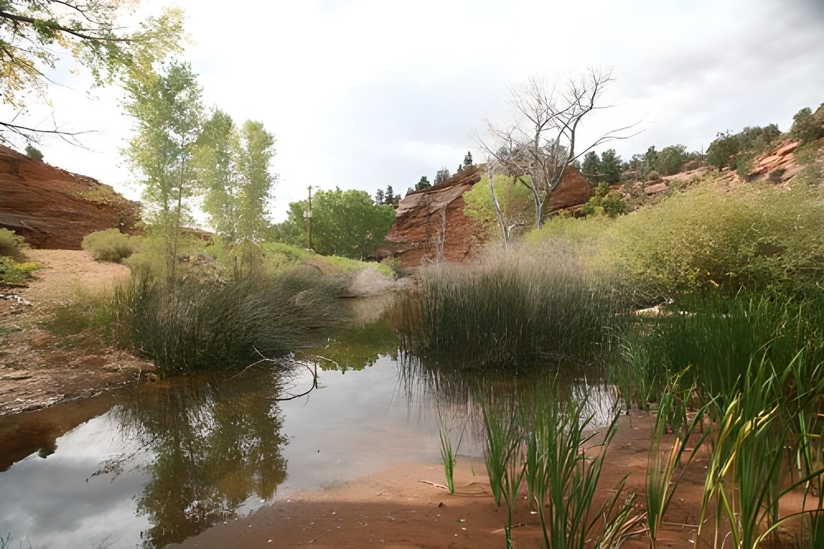 Serene Stream in a Rocky Landscape