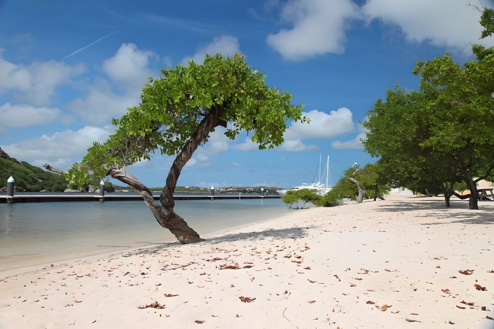OCCOM4812566: Tranquil Beachside Retreat