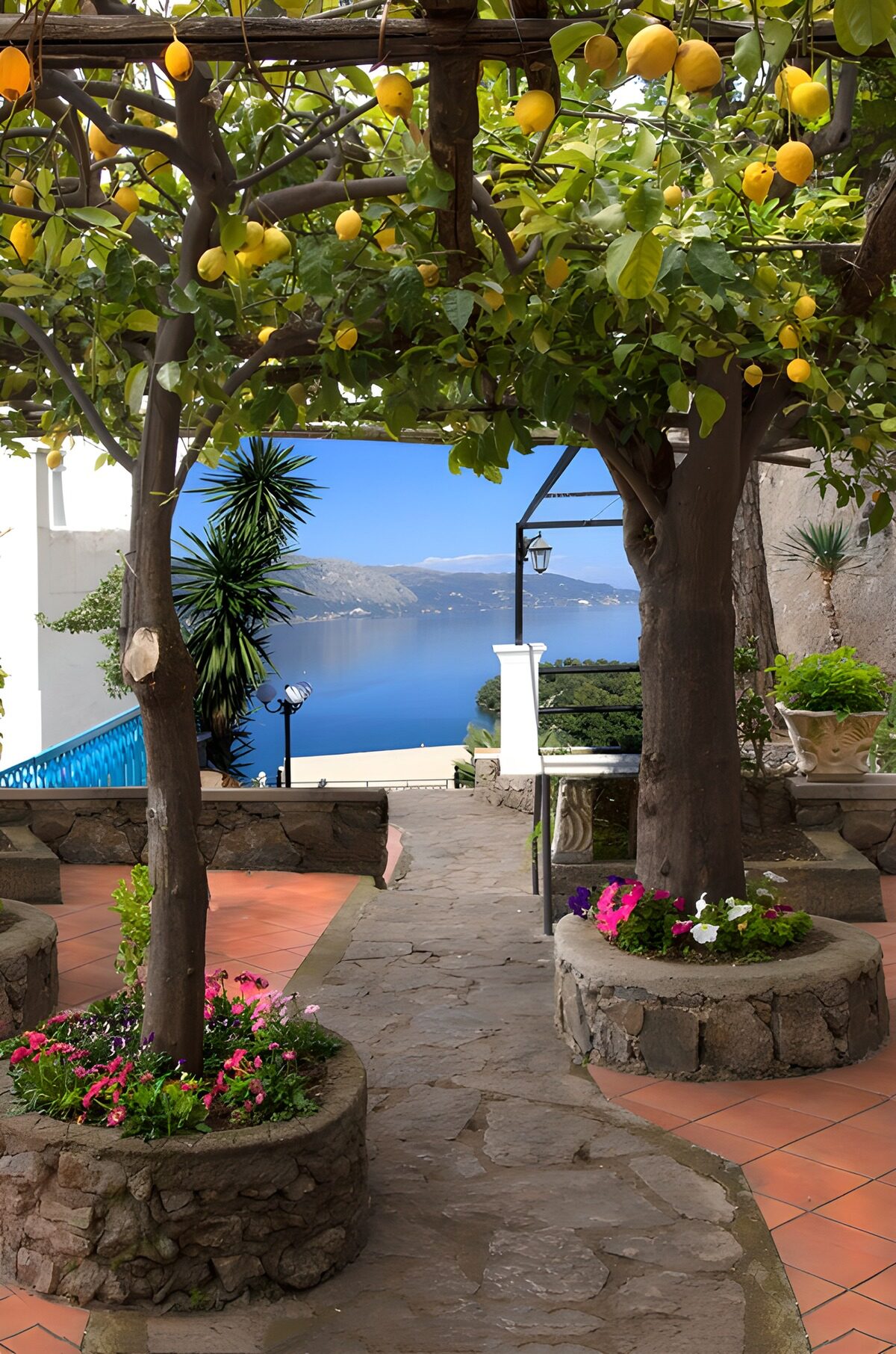 Serene Garden Path with Lemon Trees