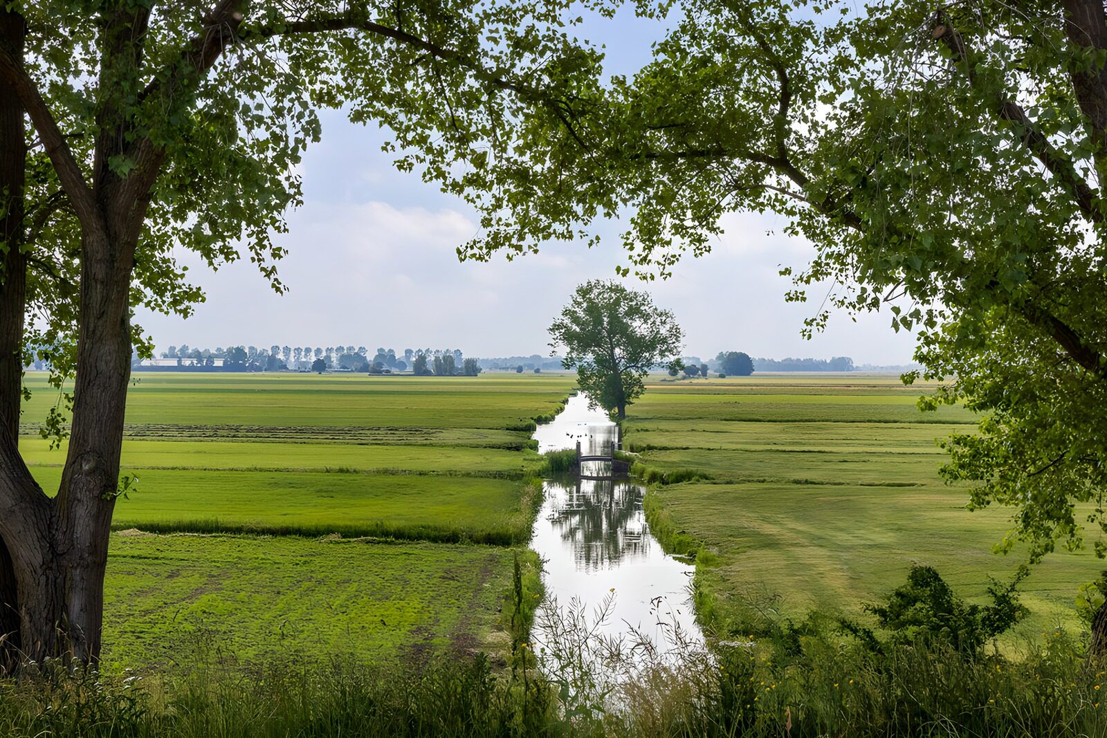 OCCOM6635911: Serene Rural Landscape with Waterway