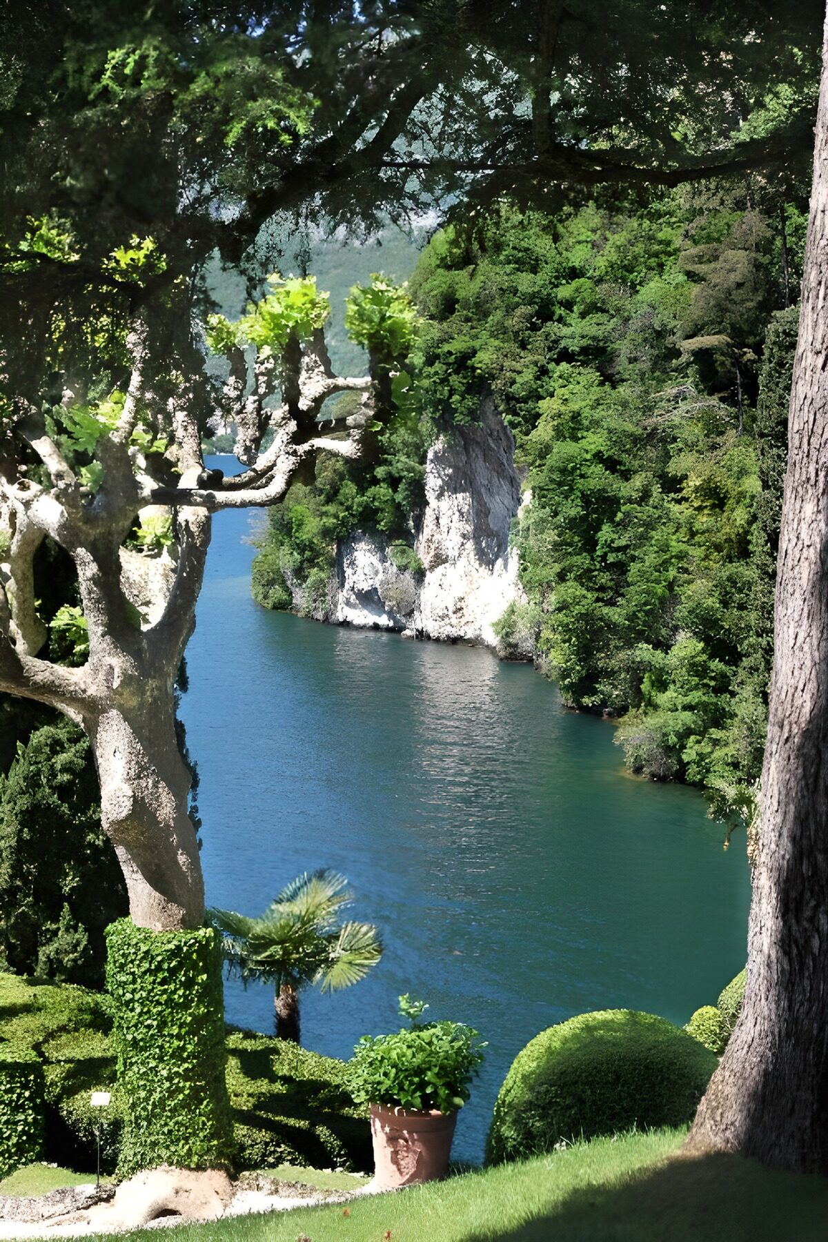 OCCOM7830471: Serene Lakeside View with Lush Greenery