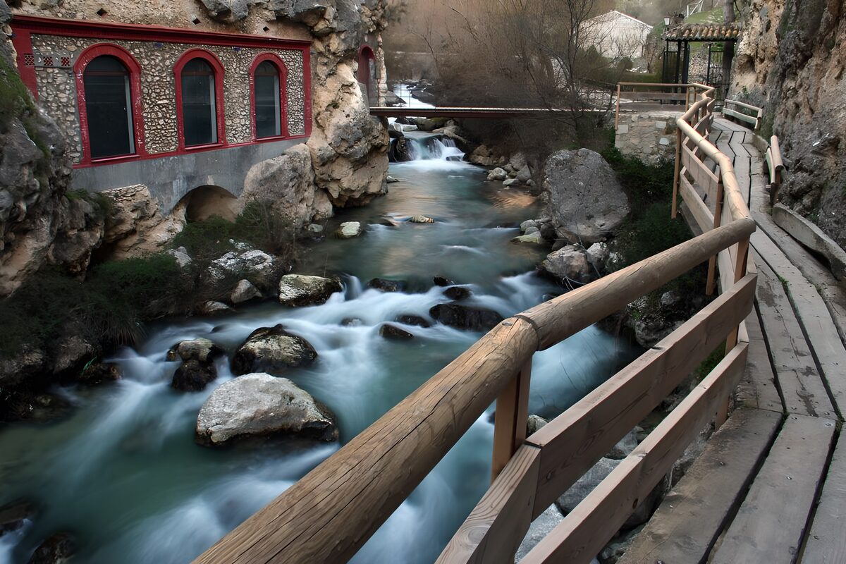Tranquil Stream by the Stone Pathway