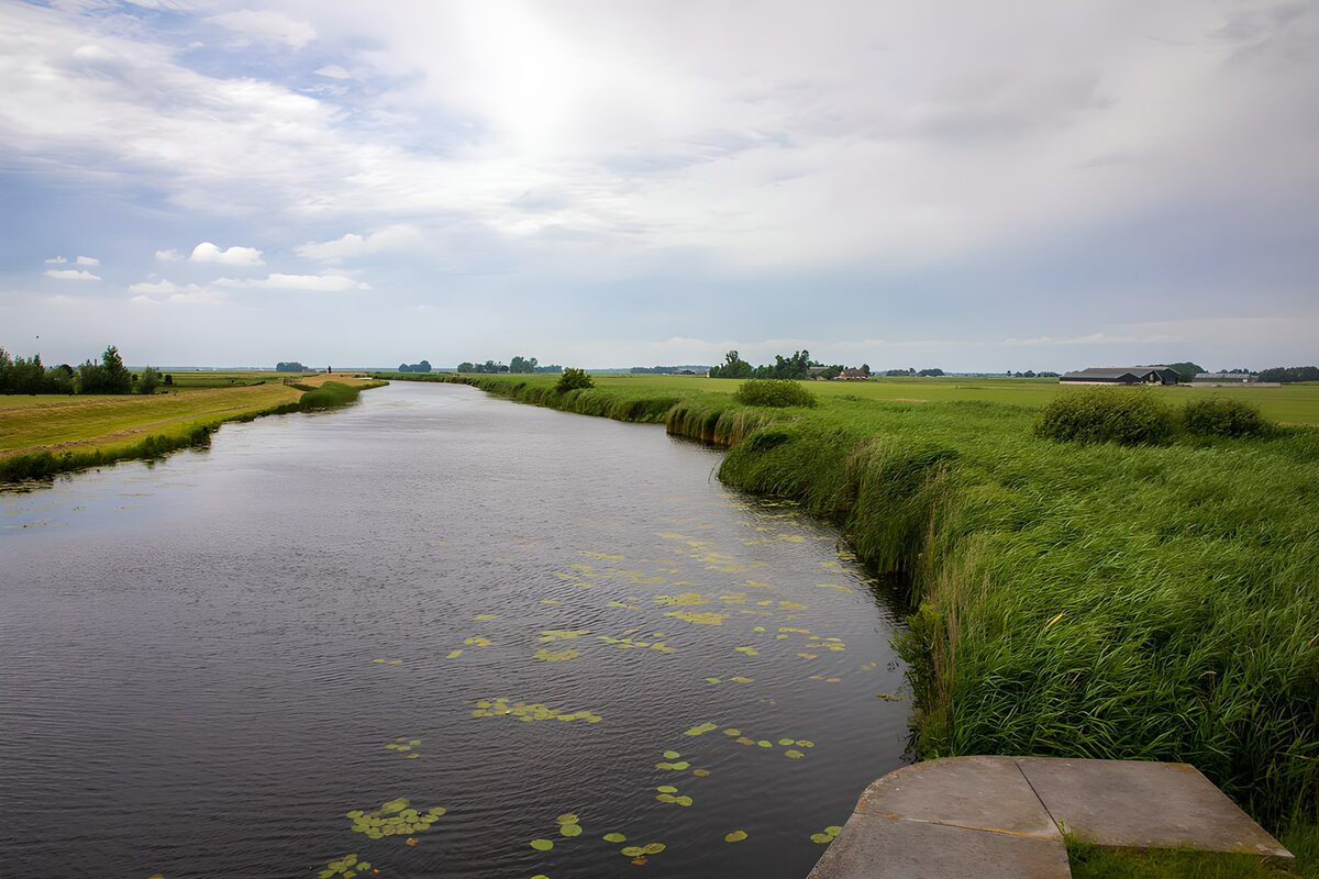 OCCOM7078596: Serene River Bend in Lush Green Landscape
