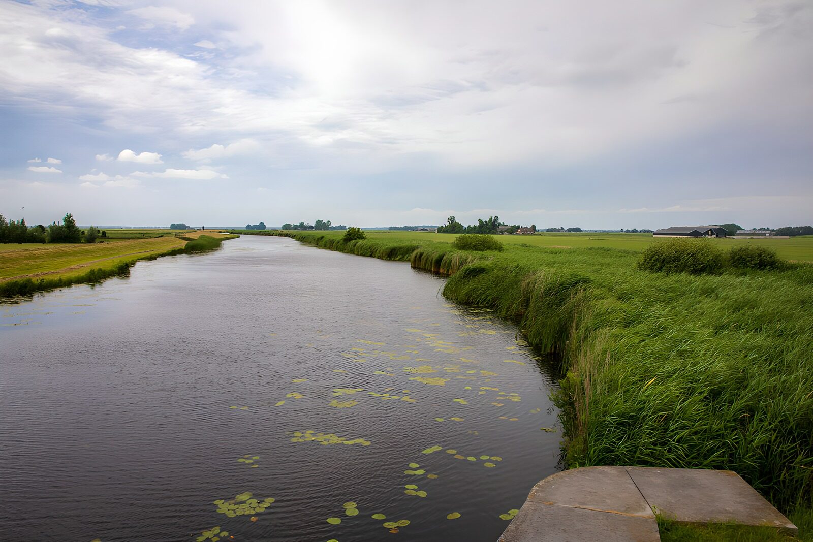 OCCOM7078596: Serene River Bend in Lush Green Landscape