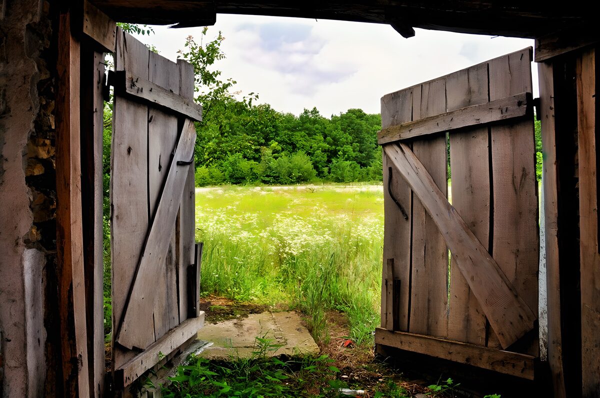 OCCOM2705784: Open Gateway to Nature's Embrace