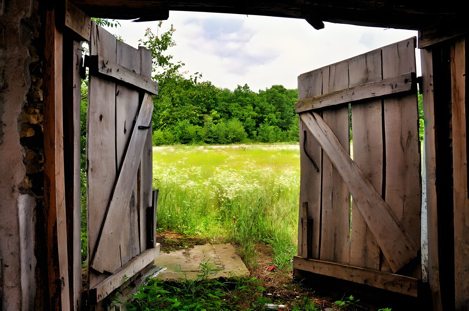 OCCOM2705784: Open Gateway to Nature's Embrace