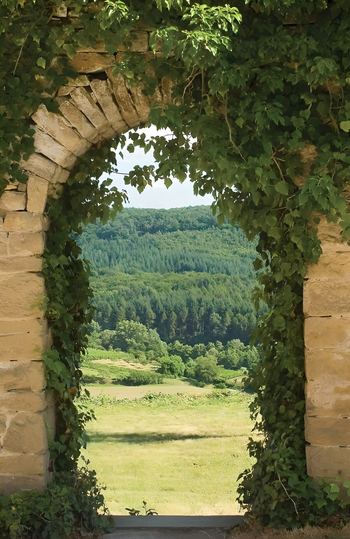 Through the Verdant Archway