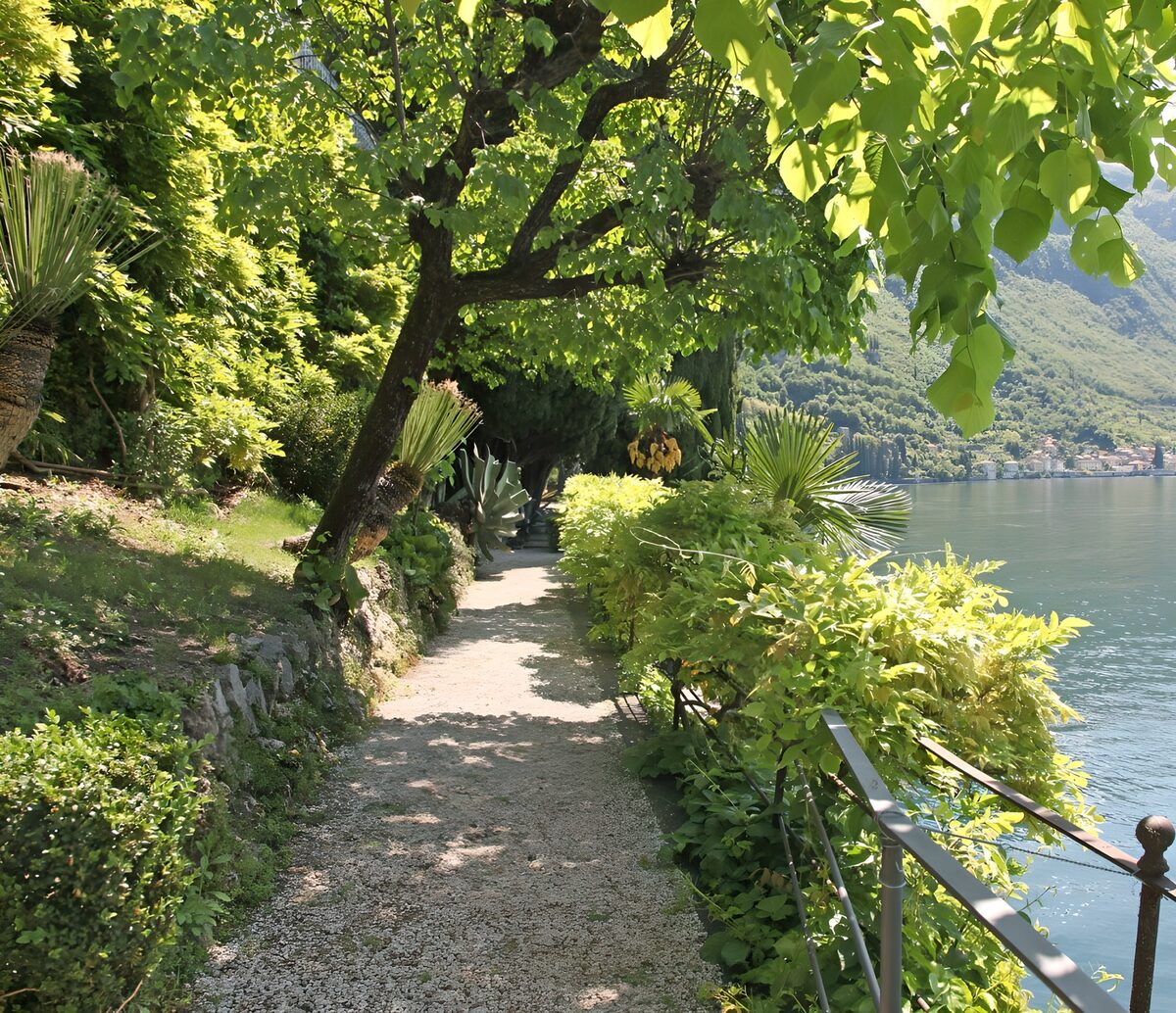 OCCOM4561415: Scenic Lakeside Pathway