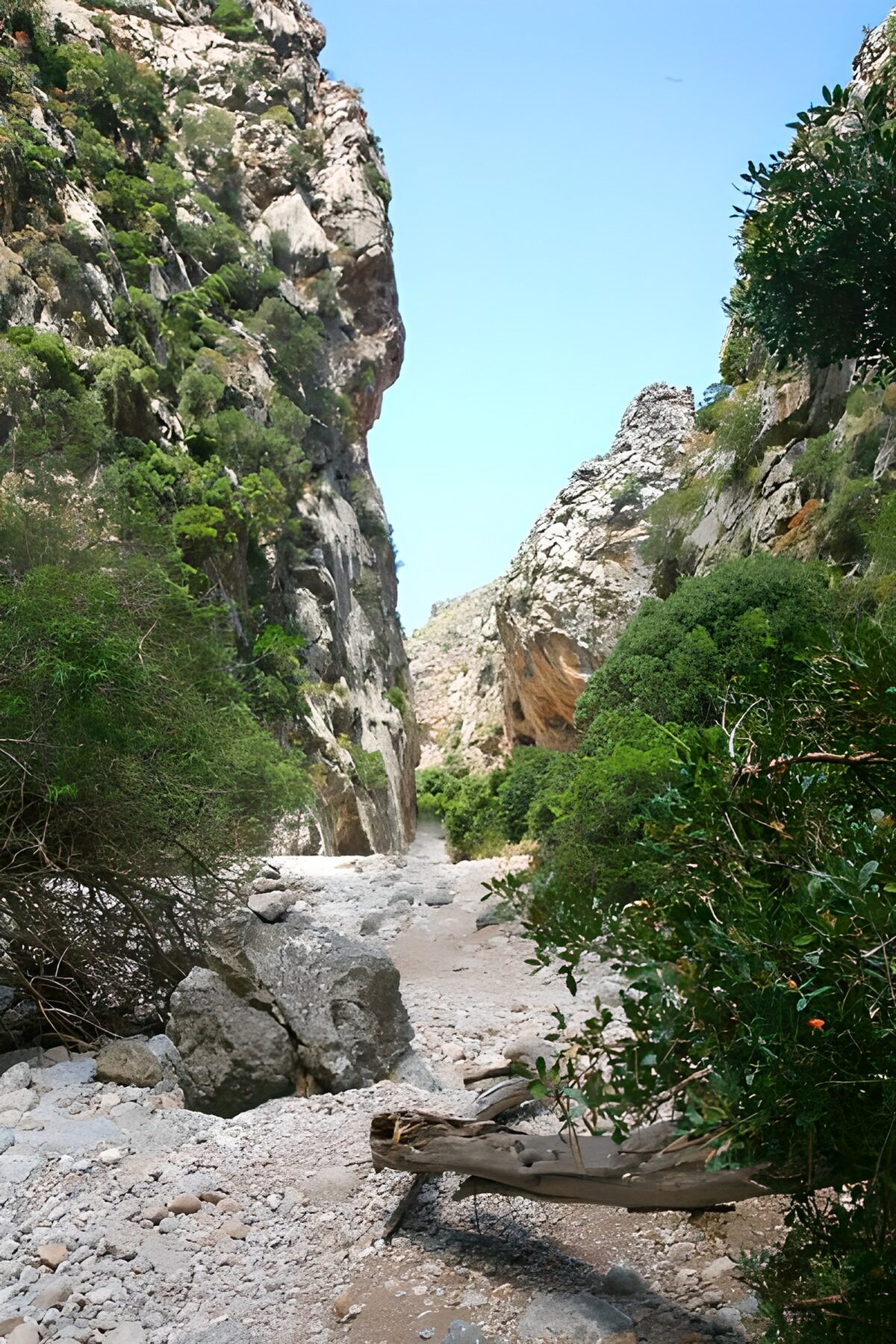 Serene Mountain Valley Landscape