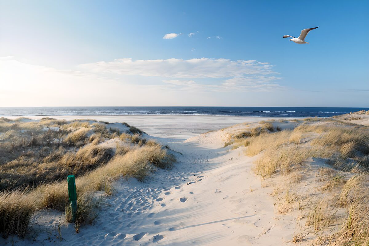 OCCOM8575929: Serene Beach Pathway at Dusk
