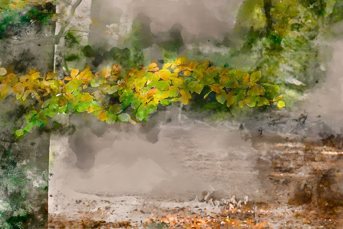 Autumn Whisper in the Woods