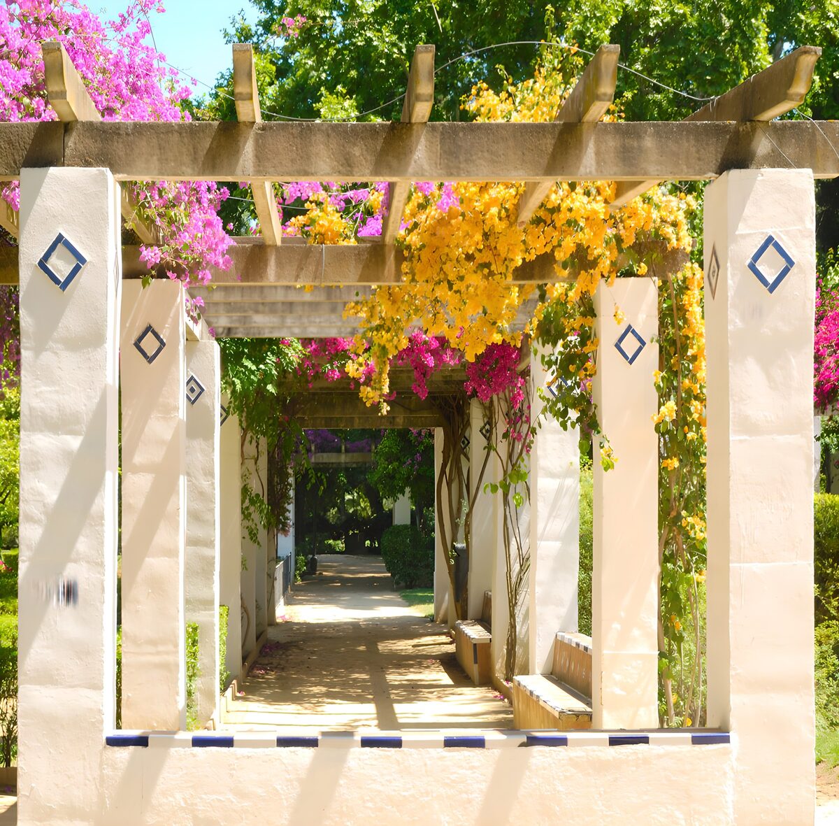 Blossoming Pathway in Sunshine